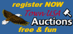  Town USA Auctions 